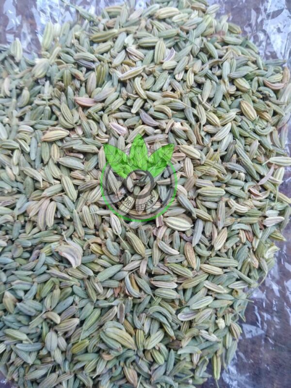 fennel