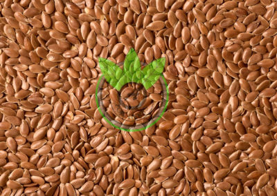 flaxseed