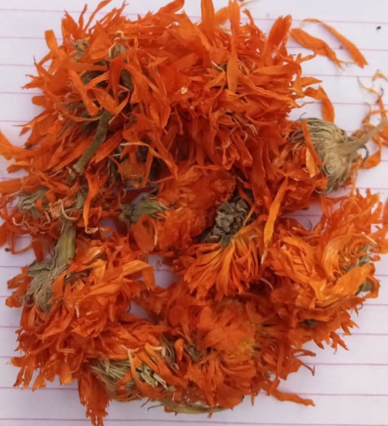 Calendula