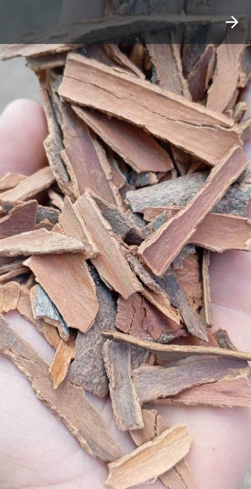 cinnamon